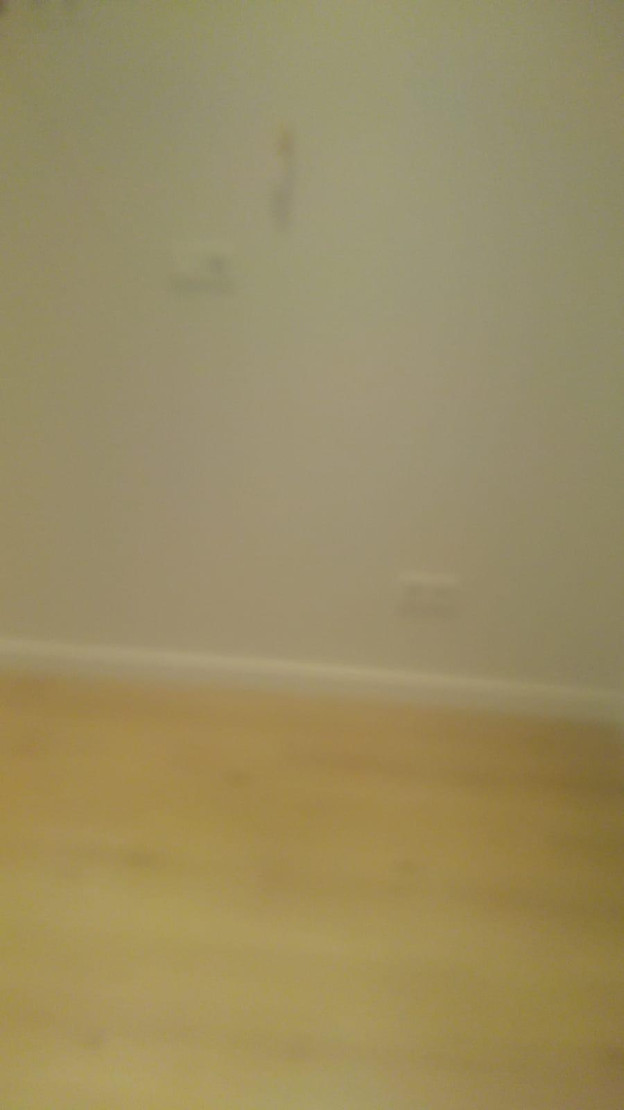 Galerie foto 8