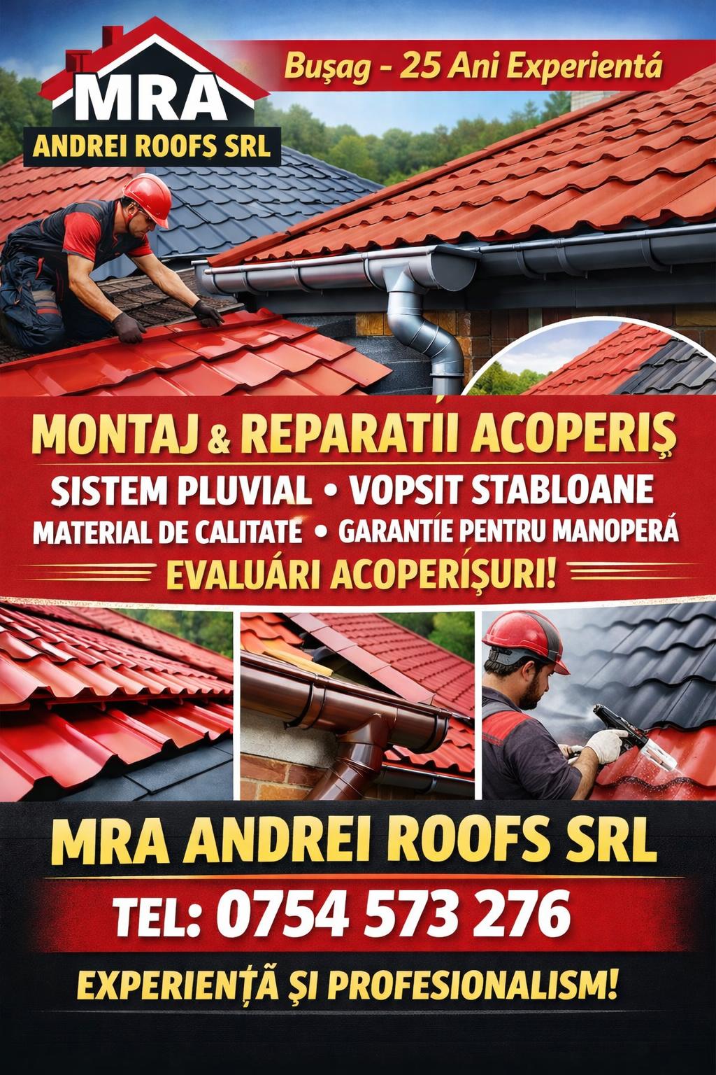 Montaj reparatii acoperiș