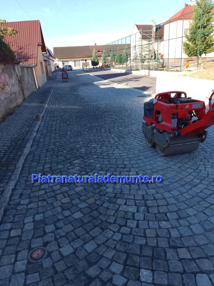Galerie foto 3