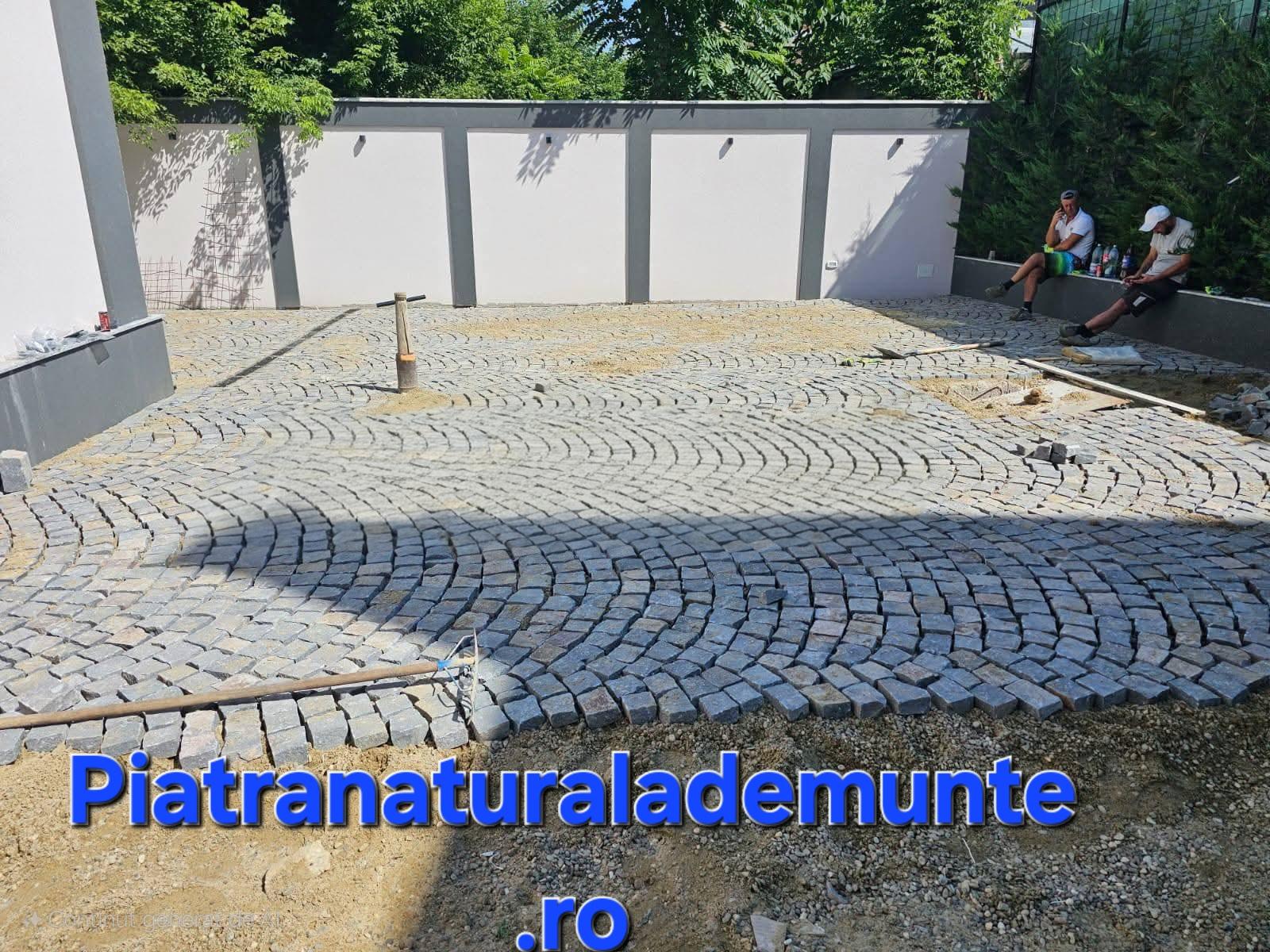 Galerie foto 3