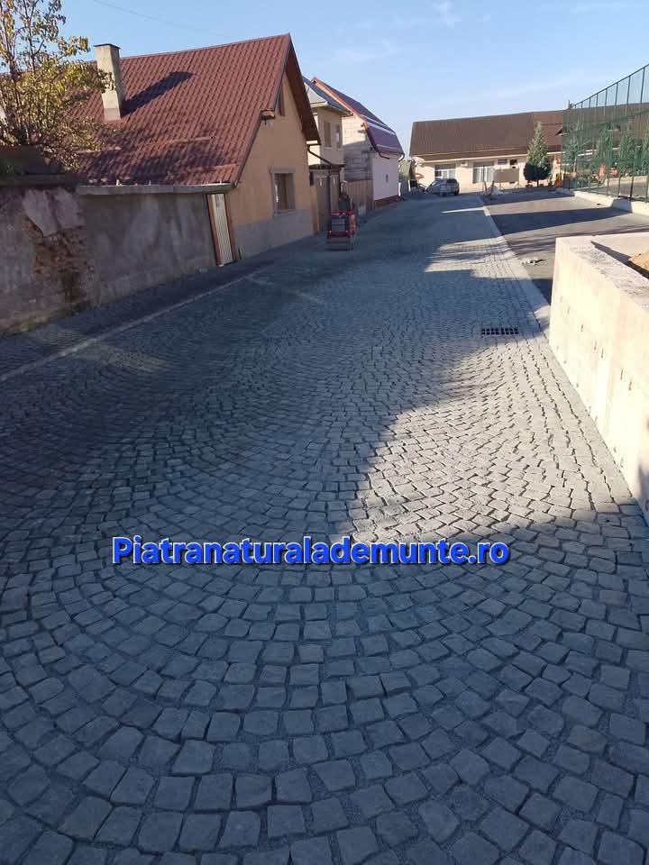 Galerie foto 4